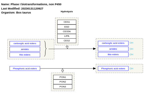 Phase I biotransformations, non P450
