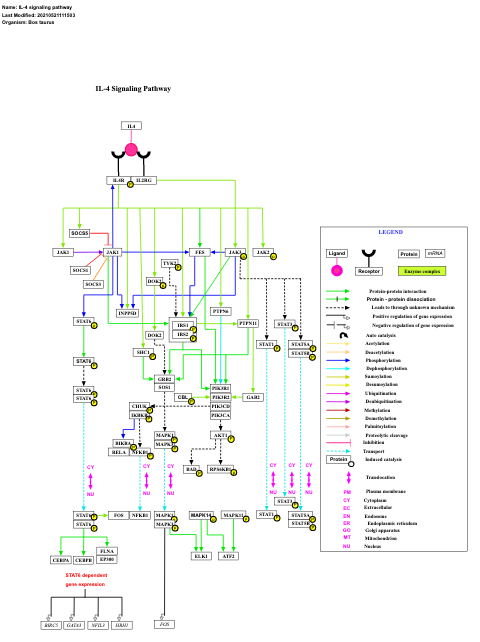 IL-4 signaling pathway