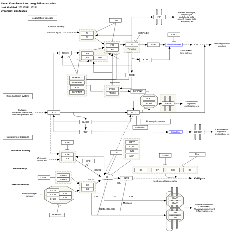 Complement and coagulation cascades