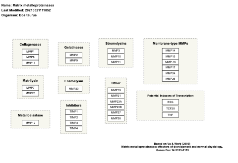 Matrix metalloproteinases