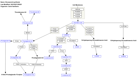 Eicosanoid synthesis