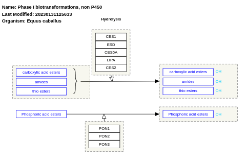 Phase I biotransformations, non P450