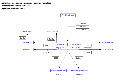 Arachidonate epoxygenase / epoxide hydrolase