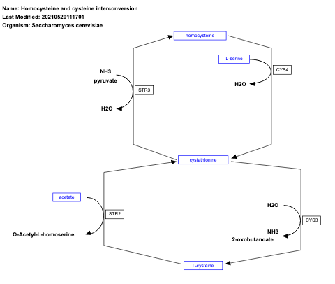 Homocysteine and cysteine interconversion