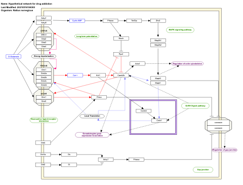 Hypothetical network for drug addiction