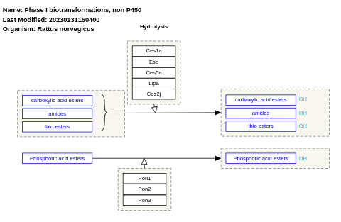 Phase I biotransformations, non P450