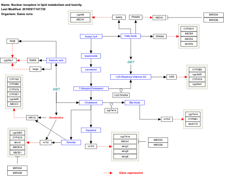 Nuclear receptors in lipid metabolism and toxicity