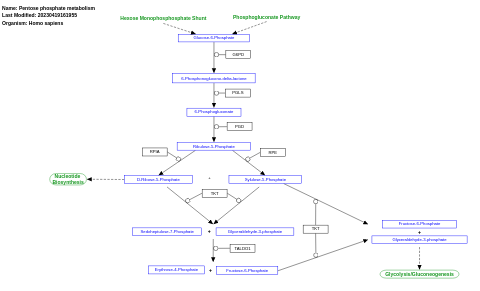 Pentose phosphate metabolism