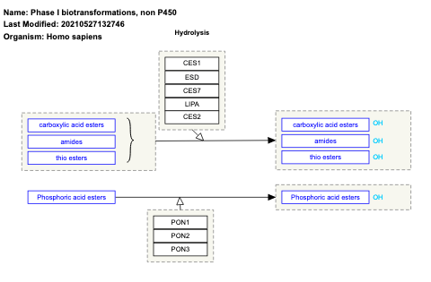 Phase I biotransformations, non P450