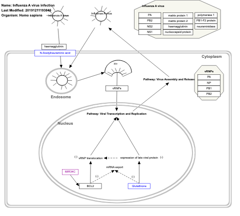 Influenza A virus infection