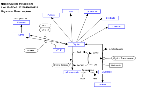Glycine metabolism