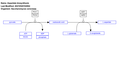 Aspartate biosynthesis
