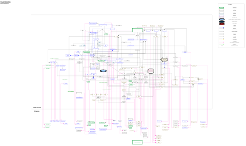 Vitamin B12 metabolism