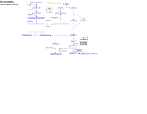 Histidine metabolism