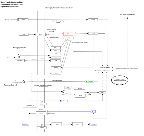 Type II diabetes mellitus