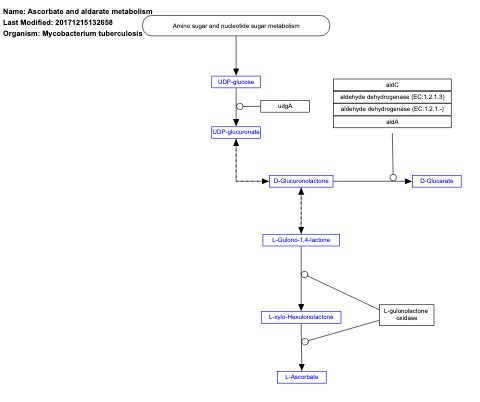Ascorbate and aldarate metabolism