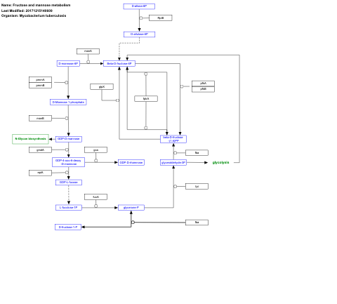 Fructose and mannose metabolism