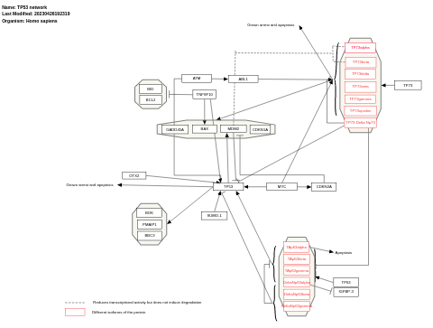 TP53 network