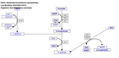 Glutamate biosynthesis superpathway