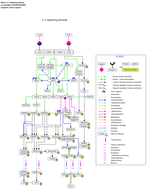 IL-1 signaling pathway
