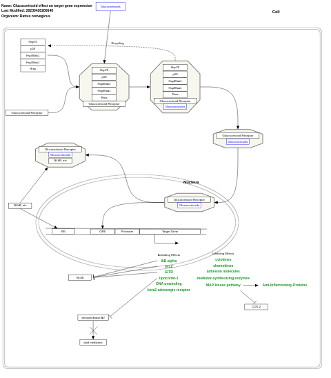 Glucocorticoid effect on target gene expression