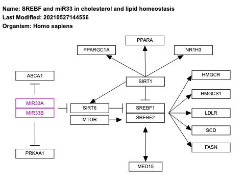 SREBF and miR33 in cholesterol and lipid homeostasis
