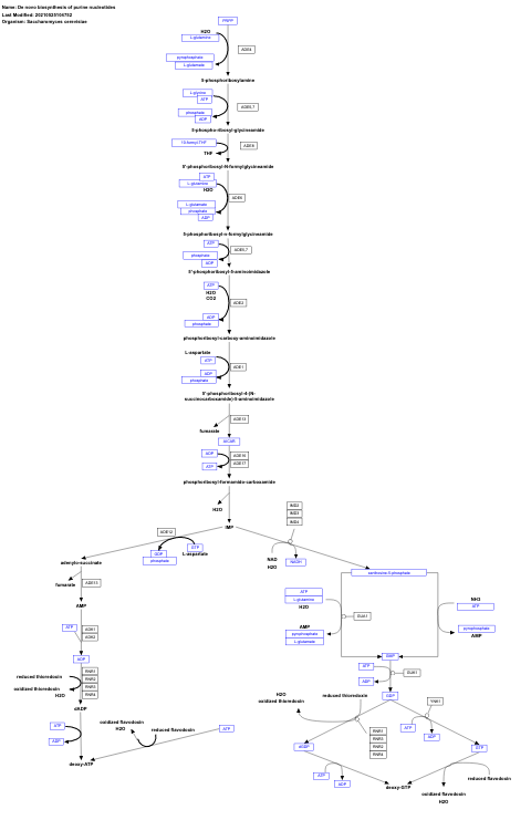 De novo biosynthesis of purine nucleotides