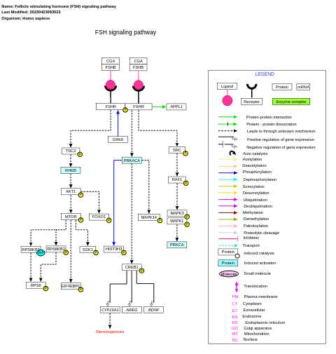 Follicle stimulating hormone (FSH) signaling pathway
