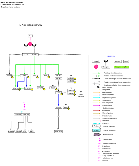 IL-7 signaling pathway
