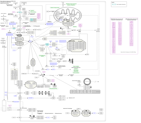 Alzheimer's disease and miRNA effects