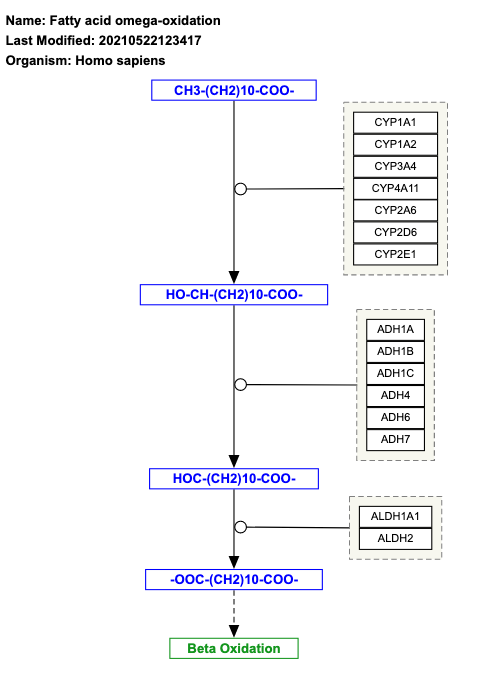 Fatty acid omega-oxidation