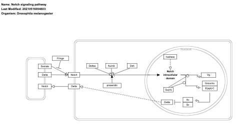 Notch signaling pathway
