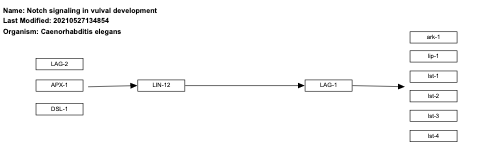 Notch signaling in vulval development