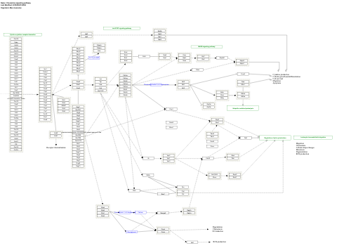 Chemokine signaling pathway