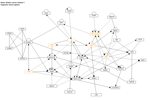 Gastric cancer network 1