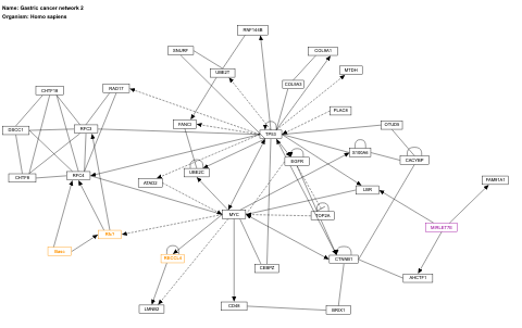 Gastric cancer network 2