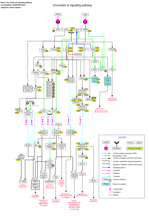 Oncostatin M signaling pathway