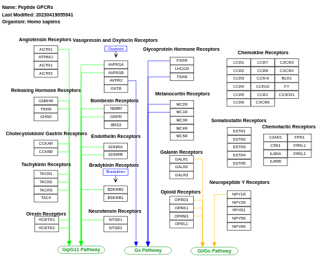 Peptide GPCRs