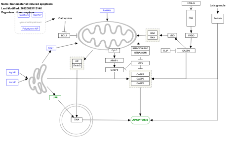 Nanomaterial induced apoptosis