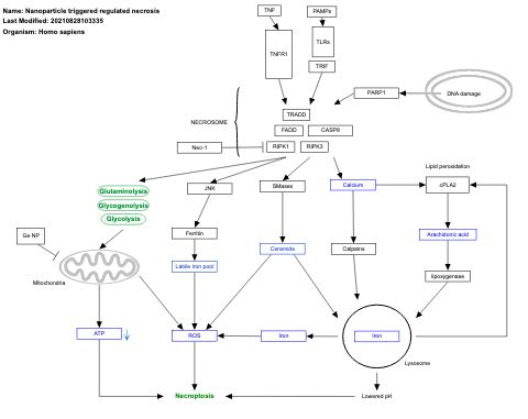 Nanoparticle triggered regulated necrosis