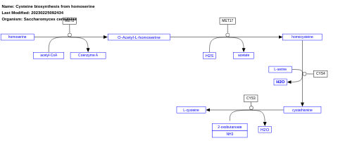 Cysteine biosynthesis from homoserine