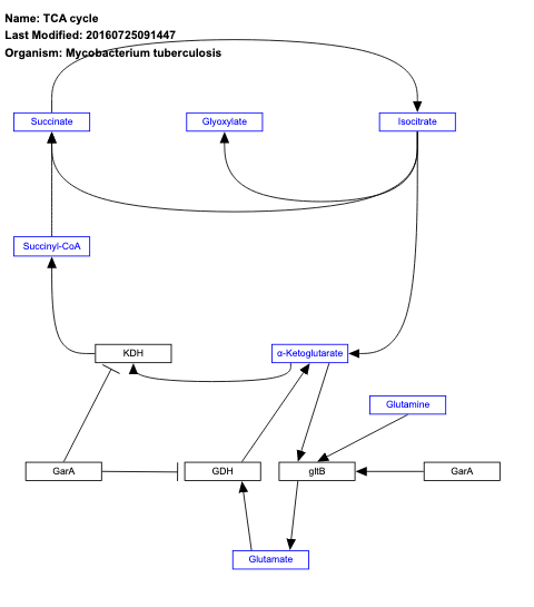 TCA cycle