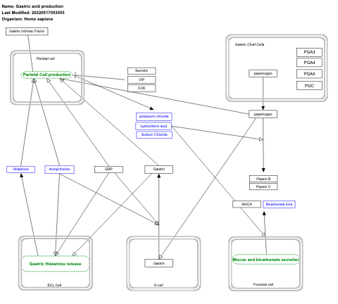 Gastric acid production