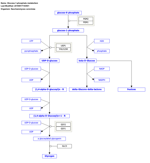 Glucose-1-phosphate metabolism