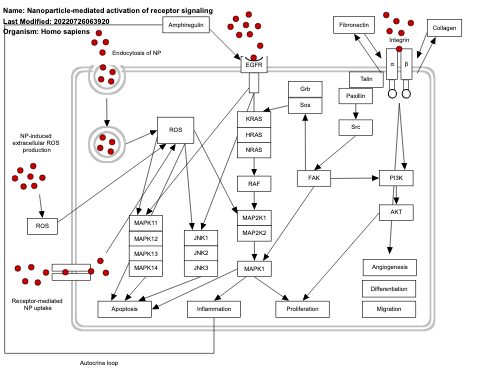 Nanoparticle-mediated activation of receptor signaling