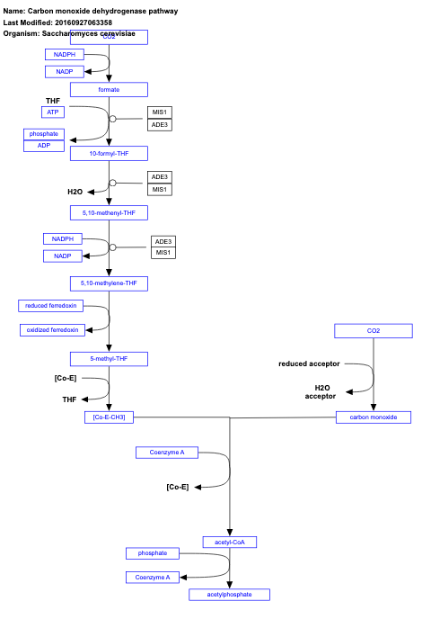 Carbon monoxide dehydrogenase pathway