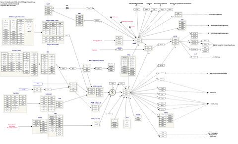 Focal adhesion: PI3K-Akt-mTOR signaling pathway