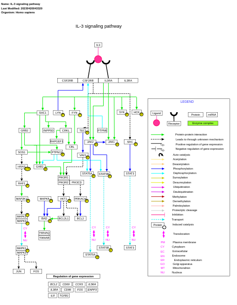 IL-3 signaling pathway