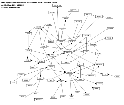 Apoptosis-related network due to altered Notch3 in ovarian cancer