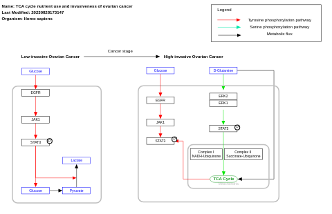 TCA cycle nutrient use and invasiveness of ovarian cancer